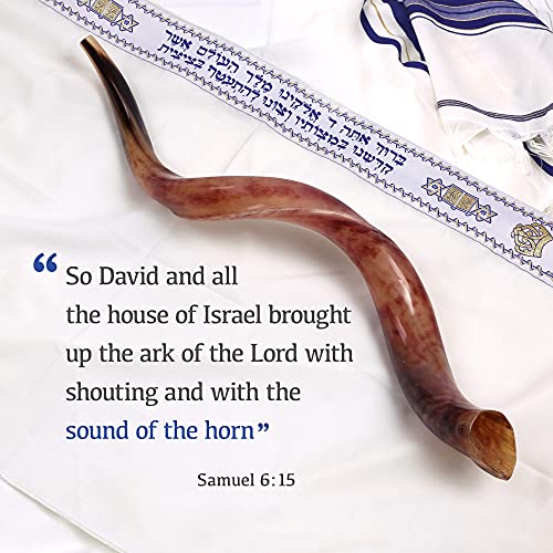 Medium Polished Kudu Horn Shofar With Natural Colors #TOP4