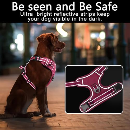 Harnais anti-traction pour chien HEELE réfléchissant avec poignée de contrôle