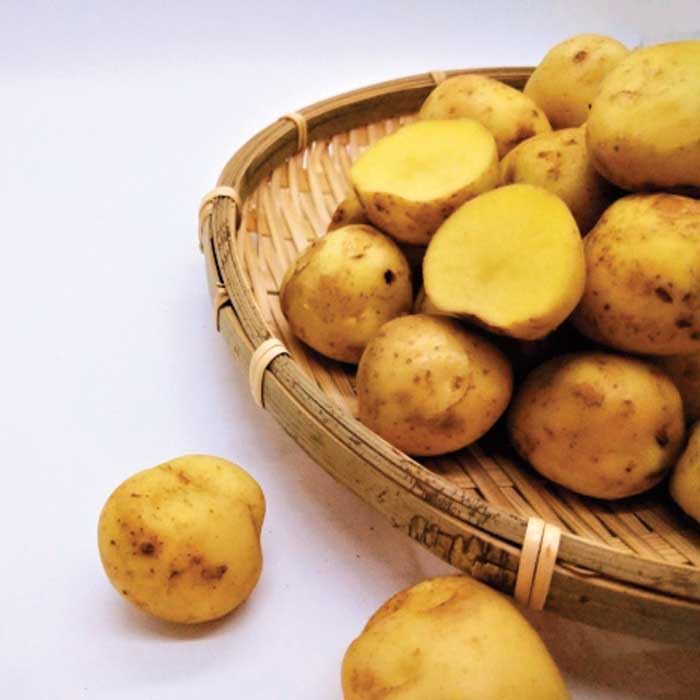 Amazon.co.jp: 種 じゃがいも ながさき黄金 PVP 約500g※大小ミックス