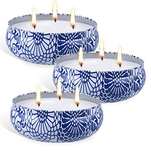 OBES Citronella Candles Outdoor and Indoor 14 Oz,3 Cutton Wicks Scented Candles Gift Set in Portable Travel Tin