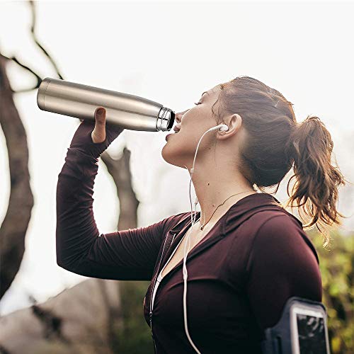 image for Rosechen Water Bottle Fox Thermoses for Man and Women, Thermal Insulat