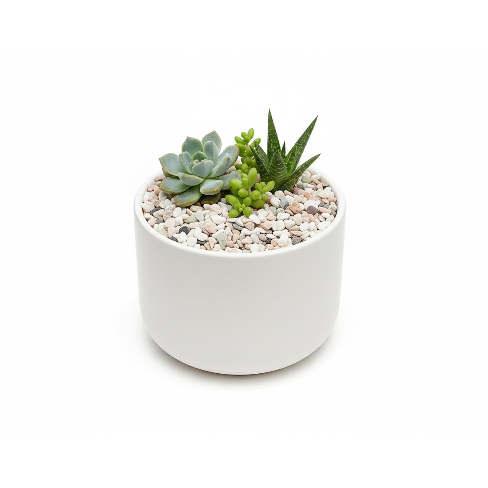 Grava natural de 12 libras para pecera, grava de acuario StoneCreek Betta, relleno de jarrón, rocas de río, decoraciones de peceras, perfecta para decoración de acuarios, peceras y plantas de