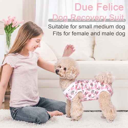 Image of Dog Surgical Recovery Suit Pet After Surgery Onesie Cat Bodysuits Cone E-Collar Alternative for Female Male Dog Pink Leopard /Medium