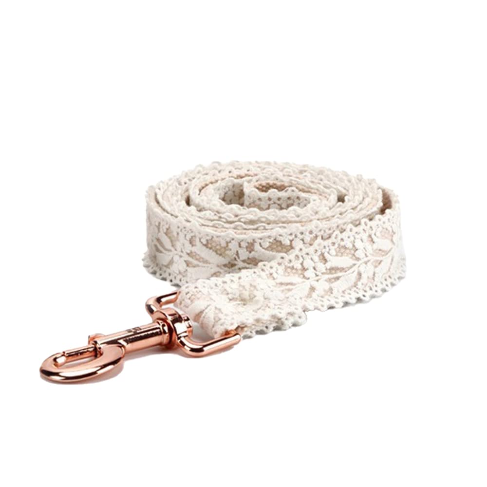 Collier en Dentelle for Chien, Collier et Laisse réglables avec Motif Floral Tendance, for Chiens de Petite, Moyenne et Grande Taille, Pendentif d'identification Gratuit(M)