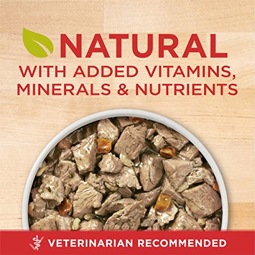 Image of Purina ONE Plus Tender Cuts in Gravy Healthy Weight Lamb and Brown Rice Entree in Wet Dog Food Gravy - (Pack of 12) 13 oz. Cans