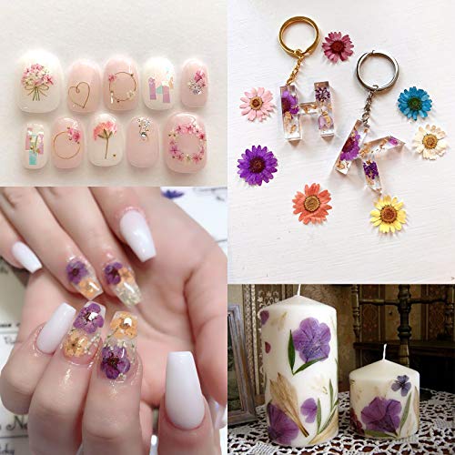 image for LIMGLIM 104 Pcs Dried Pressed Flowers Leaves for Resin Candle Soap Jew
