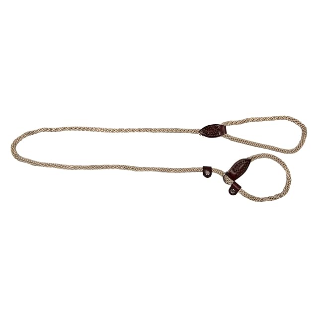 JACK AND VANILLA, Correa Martingala para Perro, Modelo Walkabout, Color Beige, Tamaño 9 mm x 140 cm