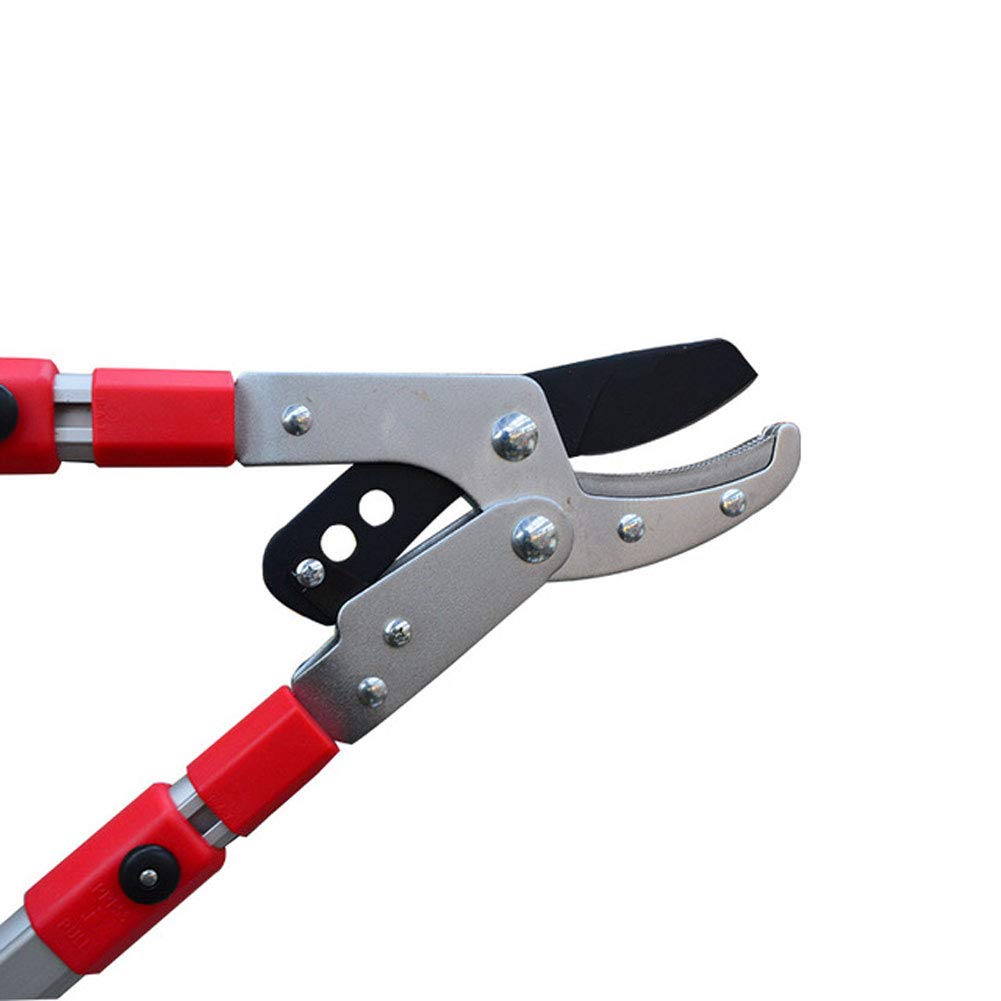 NANANA Amboss-Astschere - Ausziehbarer Rasiermesser-Astschere-Astschere - Teleskop-Aluminium Leichter Griff Gartenhecken-Astschere