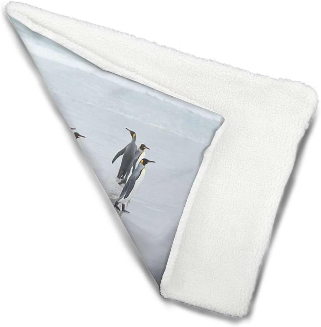 review Multicolor Thermal Pet Mat Bed Liner Penguins on Polar Cold Winter Soft Plush Autumn Winter Thermal Pet Bed Snooze Sleeping for Kittens Puppies Rabbits Sea Animals 18