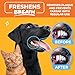 Paw Science Dog & Cat Teeth Cleaning Wipes - Dental Finger Wipes for Cats & Dogs - Pet Toothbrush & Tooth Brushing Kit - Effective Teeth Cleaner (Unscented)