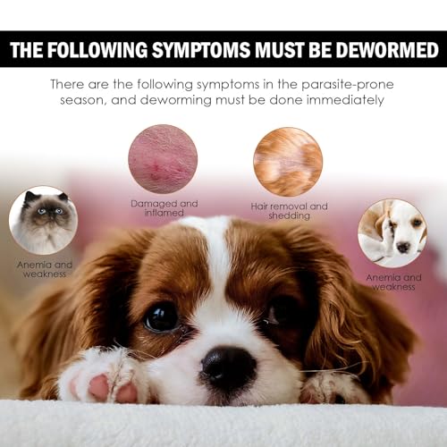 2 PCS Care for Flea and Tick Drop for Dogs and Cats,Flea and Tick Drop for Dogs,Flea Treatment Cat,Quick Acting Flea Treatment,Flea and Tick Treatment,Spot on Flea Treatment,30ml - Image 4