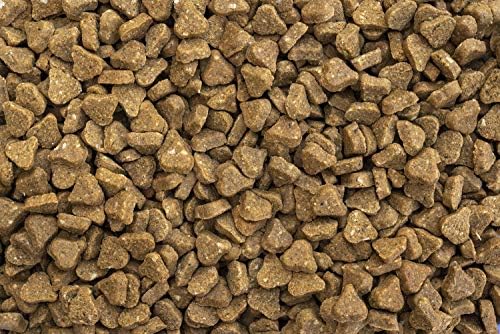 COACHIES Sensitive Training Treats 200g  8 pack, Chicken Flavour, Semi-Moist Low Calorie, Wheat-free Natural Dog Training Treat, Healthy Treats for Easy Digestion, Suitable Puppy Treats from 8 weeks