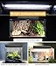 MouMouPurr T5 UVB Reptile Light Fixture Combo Kit - 24W 10.0 UVB Bulb & Hood, 22