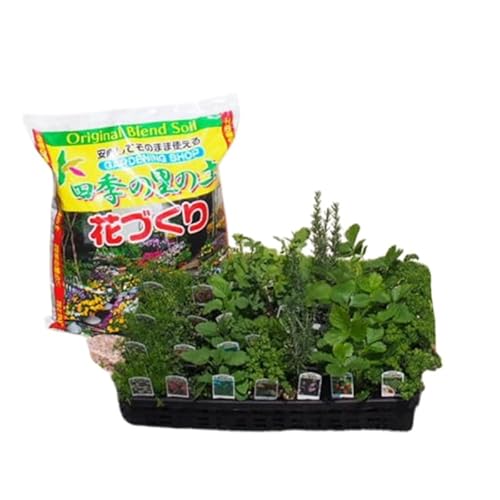 ハーブ苗 28ポット 培養土 20L 1袋 セット ガーデニング 植物 インテリア ガーデニングショップ四季の里