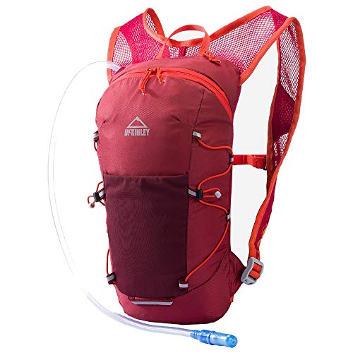 McKinley: Radical CT 4