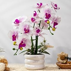White Vase, White Purple