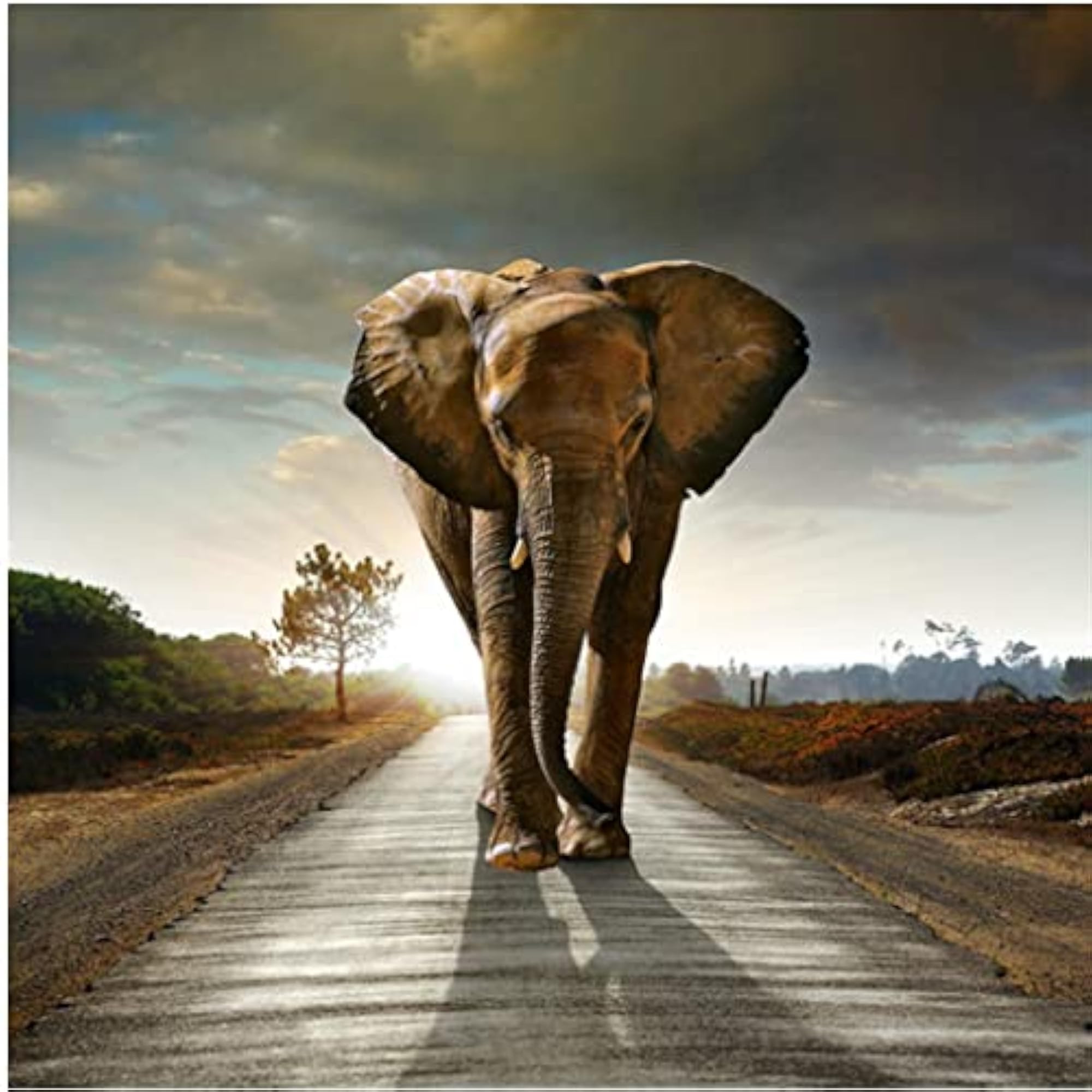 30cm Canvas Print Wall Art Painting Decor