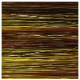 Eternity One Length Style Brown/Bonde Wig