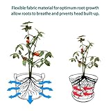 2Pack Potato Grow Bags 10 Gallon Plant Growing Bags for Vegetables Durable & Root Friendly Garden Bags with Strap Handles and Access Flap Window for Potatoes, Carrots, Tomatoes, Strawberry (2pcs) - Image 2