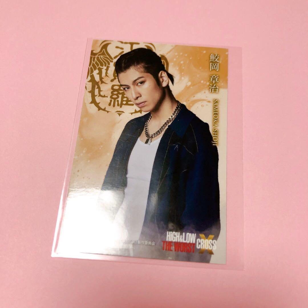 Amazon.co.jp: HiGH&LOW THE WORST X ハイロー ザワクロ 長谷川慎 鮫岡