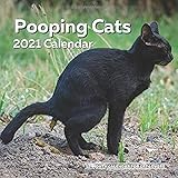 Pooping Cats Calendar 2021: Funny Cat Lover Wall Calendar Gag Joke Gift - Women, Men, Crazy Lady, Birthday, White Elephant Party, Secret Santa, Exchange, Stocking Filler, Christmas