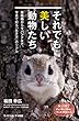 セール中のKindle本29：それでも美しい動物たち　亜南極からサバンナまで、写真で知る「生き方」のリアル (サイエンス・アイ新書)
