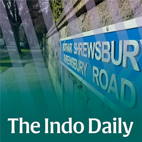 Millionaires' Row: What Dublin's Shrewsbury Road tells us about wealth in Ireland through the years cover art