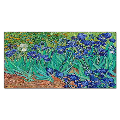 Image sur verre décoration tableau en verre trempé 100x50cm irises
