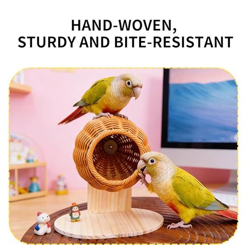 Jouets de cage à oiseaux suspendus dans un salon ou un balcon ombragé