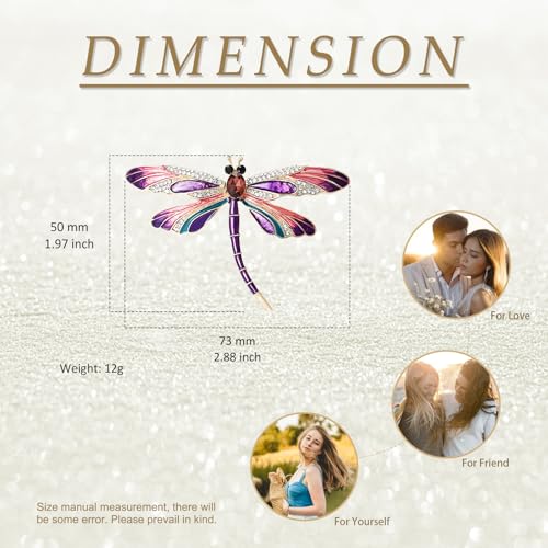 Image of Fashion Dragonfly Booch Pin Jewelry Gift for Women