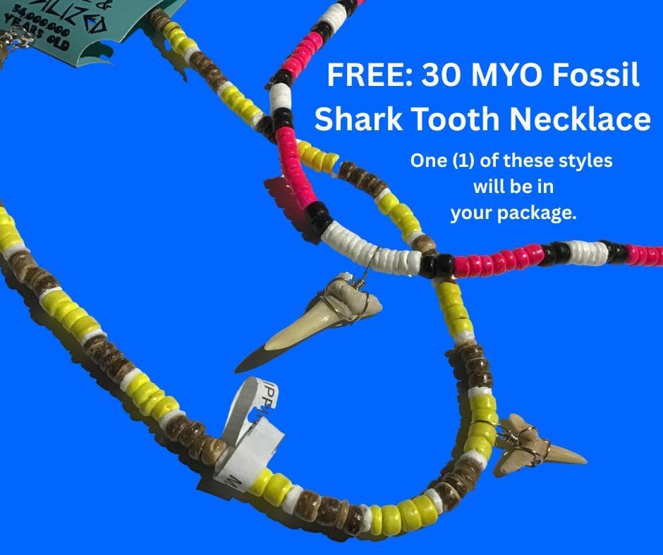 DINOSAURS ROCK® Rock & Mineral 7 Piece Collection with Bonus Genuine Fossil Shark Tooth Necklace - Gift Packaged in a velvet drawstring pouch