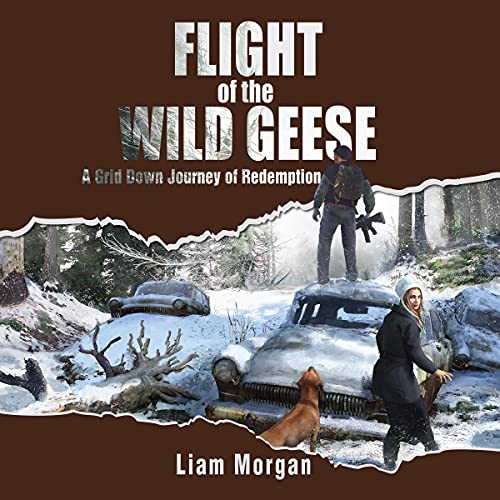 Flight of the Wild Geese by Liam Morgan episode artwork