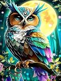 Niazidier DIY Owl Paint by Number for Adults,Painting by Number Kits on Canvas,Color by Numbers for Adult Beginner,Gifts Decor for Home Wall Room (Owl)