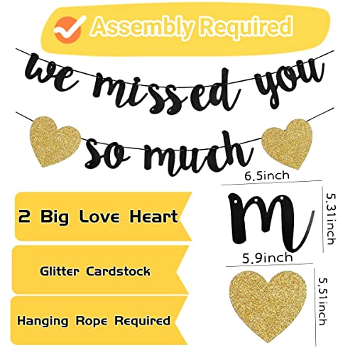 Glitter We Missed You So Much Banner+2m Paper Circle Dots Hanging Garland Kit+10pcs Balloons Paper Banner Bunting Patriotic Returning Back Decorations Party Decorations Photobooth Backdrop - Image 2