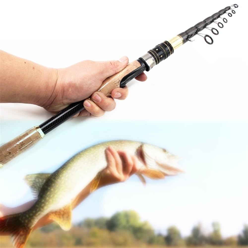 Wędka Wielofunkcyjna wędka węglowa karpiowa wędka przenośna podróżna wędkarska wędka Pesca Surfing Wędka do surfcastingu(265CM 8.69FT)