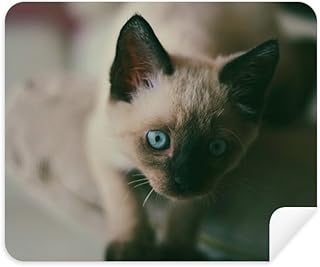 Animal Blue Eye Kitten Gray Photograph Cleaning Cloth Screen Cleaner 2pcs Suede Fabric