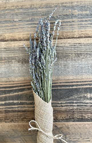Flores de Lavanda Secas (2 Ramilletes) para Decoración y Artes miniatura 4