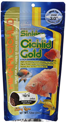 Hikari 12-Ounce Sinking Cichlid Gold Pellets for Pets, Mini