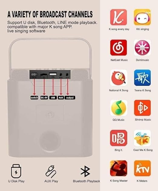 Rear panel of SDRD SD-508 speaker showing ports and controls