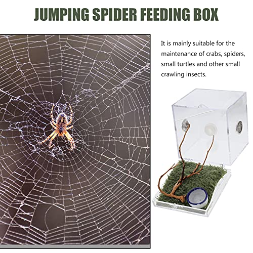 VILLCASE Terrário de Aranha de Criação de Répteis Acrílicos de Aranha Saltadora Com Pinças - para Ta