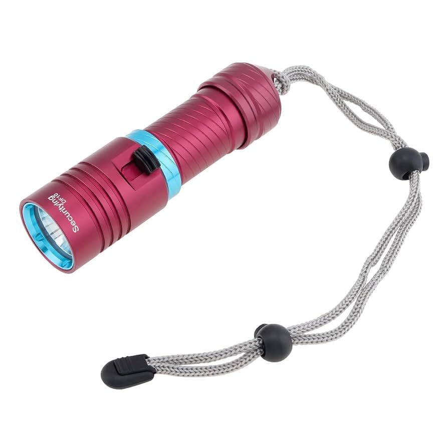 SecurityIng ダイビングライト 赤 青 白ライト 8000lm IPX Amazon.co.jp: SecurityIng DF10 ダイビングライト 500ルーメン