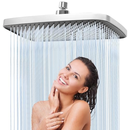 Rociador Ducha Efecto Lluvia 30x20cm, Alcachofa de Ducha Grande de Techo Cuadrada, Cabezal de Ducha en Acero Inoxidable con Filtro Antical, Cabezal de Ducha de Alta Presión y Ángulo Ajustable 360°