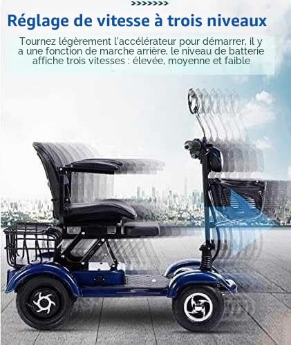 SKORDO Scooter de mobilité électrique 4 roues pliable 2 places 380 W pour personnes âgées et adultes, capacité de 200 kg, 48 V, 20 Ah, portable et pliable, éclairage LED complet