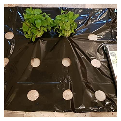 GBNHGYP Dmo 2pcs 10m Long 95cm Largo 5 Buchi Pacciamnagna Nera, Pacciame Perforato in Plastica for Giardinaggio Fiori E Verdure Piantine