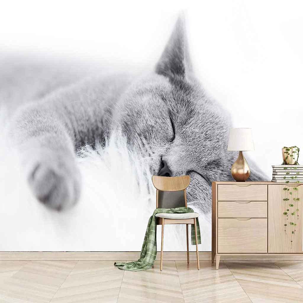 Papier peint DIY chat gris : la solution pour masquer un mur vide sans colle