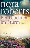  Ein Leuchten im Sturm: Roman