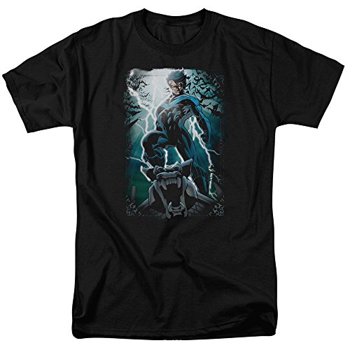 Knightwing- Gargoyle Pose T-Shirt Size 4XL Black