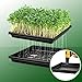 5 Pack Garden Plant Growing Trays Without Holes - 10