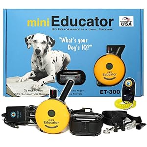 E Collar Waterproof Remote Dog Trainer ET 300 12 Mile Range for Medium or Long Coats and Thick Fur with PetsTEK Training Clicker and Extra Contact Prong Set