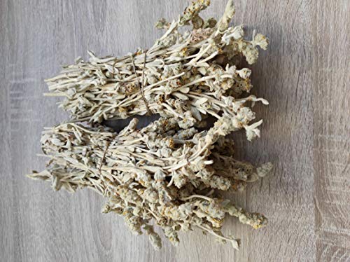 Té Salvaje Griego De Montaña Malotira Sideritis Syriaca 220g - 5KG Cosecha Junio 2022 (5 KG) - Imagen 8
